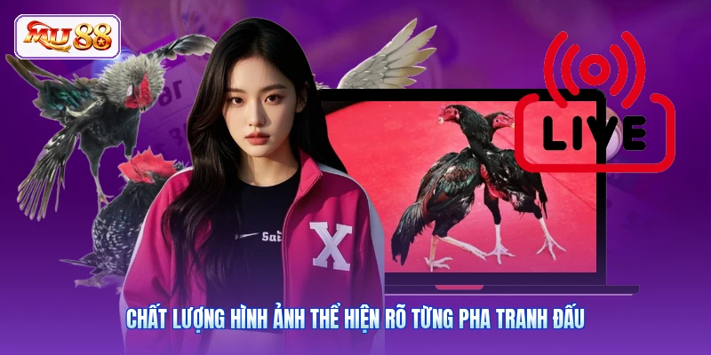 Chất lượng hình ảnh thể hiện rõ từng pha tranh đấu