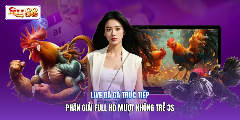 Live Đá Gà Trực Tiếp | Phân Giải Full HD Mượt Không Trễ 3s