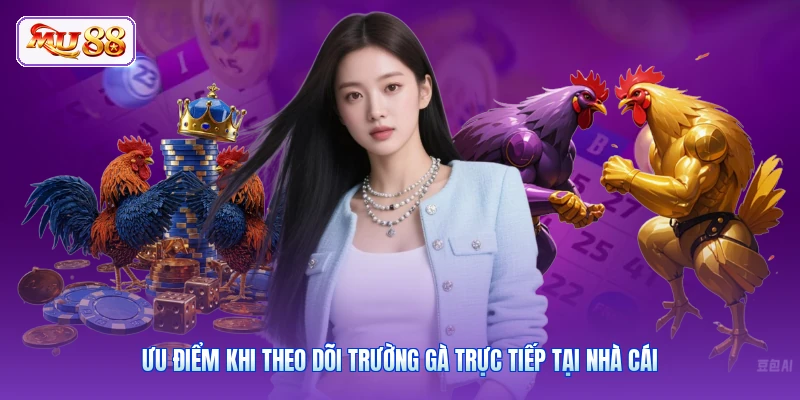 Ưu điểm khi theo dõi trường gà trực tiếp tại nhà cái